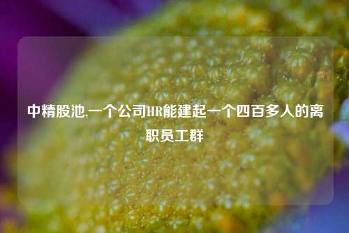 中精股池,一个公司HR能建起一个四百多人的离职员工群