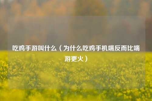 吃鸡手游叫什么（为什么吃鸡手机端反而比端游更火）