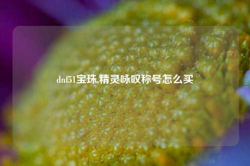 dnf51宝珠,精灵咏叹称号怎么买