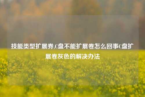 技能类型扩展券,C盘不能扩展卷怎么回事C盘扩展卷灰色的解决办法