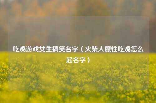 吃鸡游戏女生搞笑名字（火柴人魔性吃鸡怎么起名字）