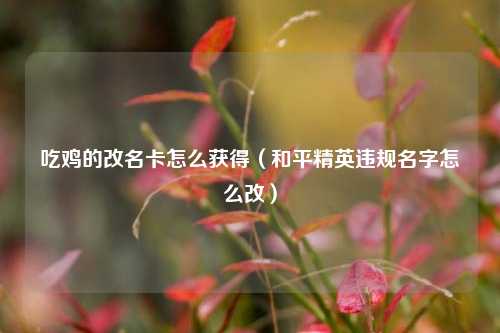 吃鸡的改名卡怎么获得（和平精英违规名字怎么改）