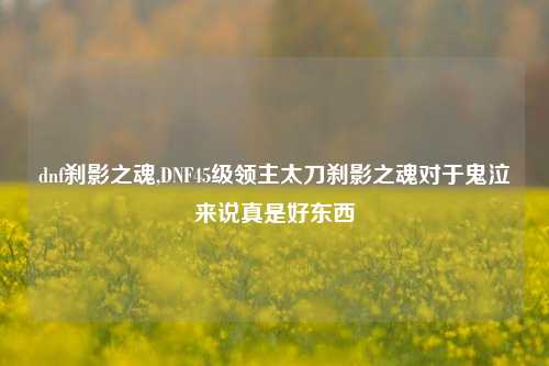 dnf刹影之魂,DNF45级领主太刀刹影之魂对于鬼泣来说真是好东西