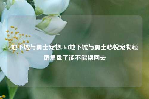 地下城与勇士宠物,dnf地下城与勇士心悦宠物领错角色了能不能换回去