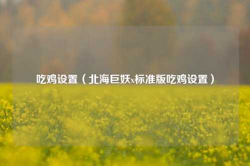 吃鸡设置（北海巨妖x标准版吃鸡设置）