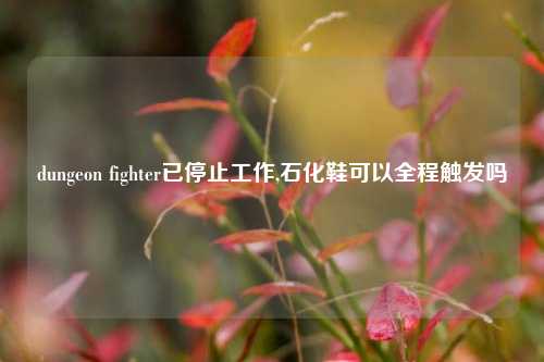 dungeon fighter已停止工作,石化鞋可以全程触发吗