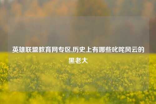 英雄联盟教育网专区,历史上有哪些叱咤风云的黑老大