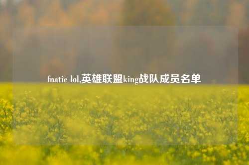 fnatic lol,英雄联盟king战队成员名单