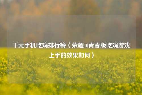 千元手机吃鸡排行榜（荣耀10青春版吃鸡游戏上手的效果如何）