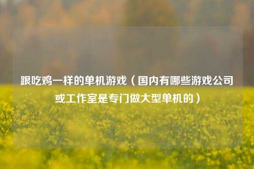 跟吃鸡一样的单机游戏（国内有哪些游戏公司或工作室是专门做大型单机的）