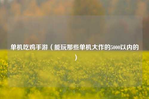 单机吃鸡手游（能玩那些单机大作的5000以内的）