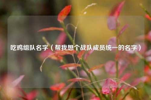 吃鸡组队名字（帮我想个战队成员统一的名字）