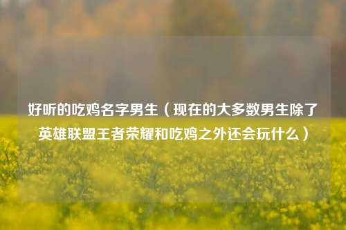 好听的吃鸡名字男生（现在的大多数男生除了英雄联盟王者荣耀和吃鸡之外还会玩什么）