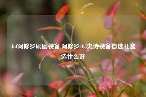 dnf阿修罗刷图装备,阿修罗105史诗装备自选礼盒选什么好