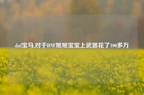 dnf宝马,对于DNF旭旭宝宝上武器花了100多万