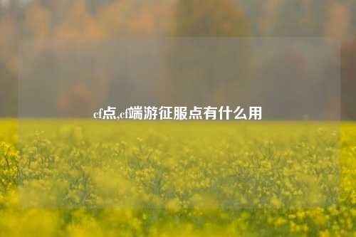 cf点,cf端游征服点有什么用