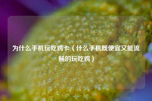 为什么手机玩吃鸡卡（什么手机既便宜又能流畅的玩吃鸡）