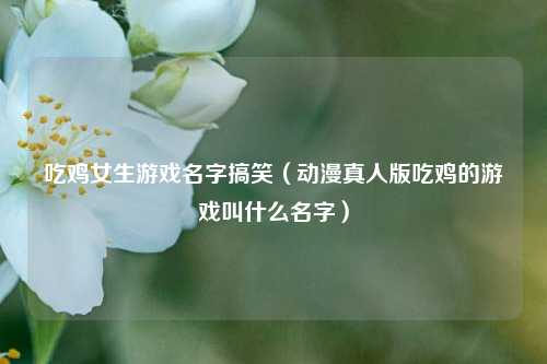 吃鸡女生游戏名字搞笑（动漫真人版吃鸡的游戏叫什么名字）