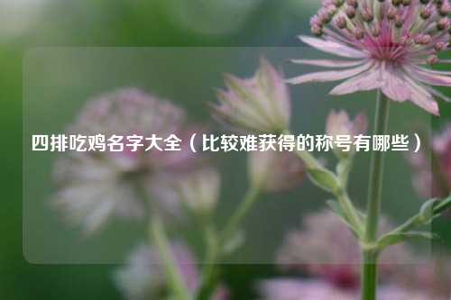 四排吃鸡名字大全（比较难获得的称号有哪些）