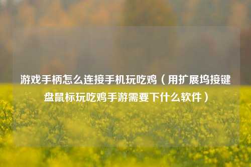 游戏手柄怎么连接手机玩吃鸡（用扩展坞接键盘鼠标玩吃鸡手游需要下什么软件）