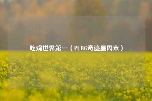 吃鸡世界第一（PUBG奇迹星周末）