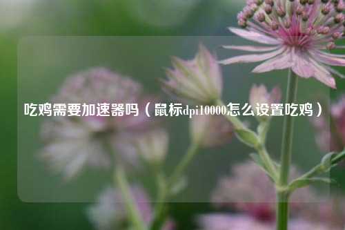 吃鸡需要加速器吗（鼠标dpi10000怎么设置吃鸡）