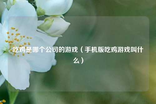 吃鸡是哪个公司的游戏（手机版吃鸡游戏叫什么）