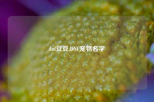 dnf豆豆,DNF宠物名字