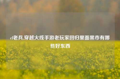 cf老兵,穿越火线手游老玩家回归里面黑市有哪些好东西