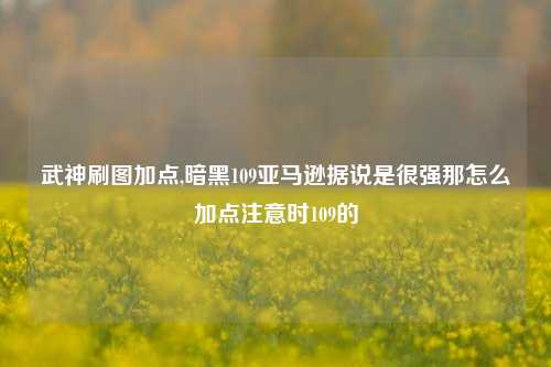 武神刷图加点,暗黑109亚马逊据说是很强那怎么加点注意时109的