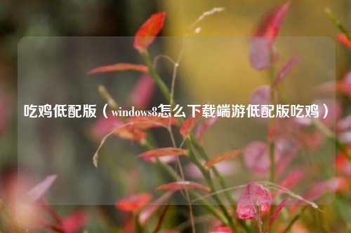 吃鸡低配版（windows8怎么下载端游低配版吃鸡）