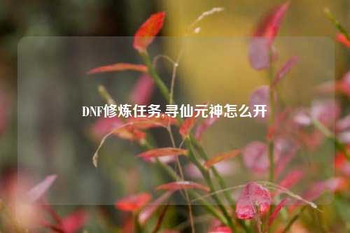 DNF修炼任务,寻仙元神怎么开