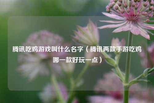 腾讯吃鸡游戏叫什么名字（腾讯两款手游吃鸡哪一款好玩一点）