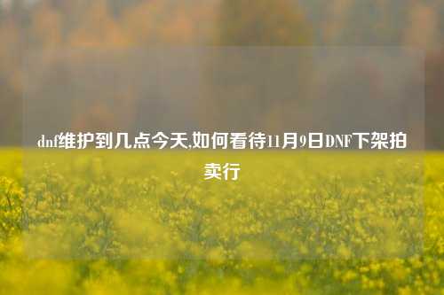 dnf维护到几点今天,如何看待11月9日DNF下架拍卖行