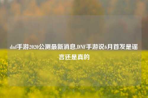 dnf手游2020公测最新消息,DNF手游说6月首发是谣言还是真的