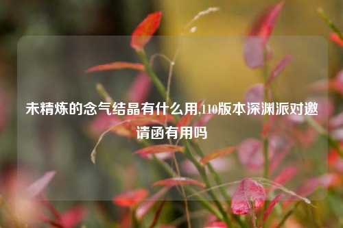 未精炼的念气结晶有什么用,110版本深渊派对邀请函有用吗