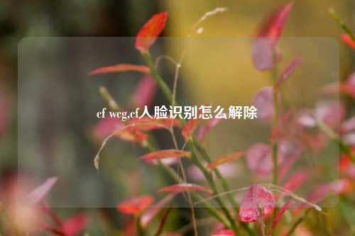 cf wcg,cf人脸识别怎么解除