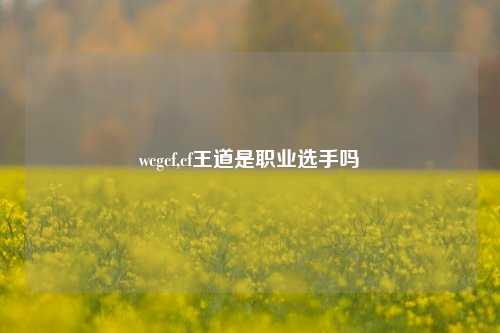 wcgcf,cf王道是职业选手吗