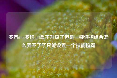 多万dnf,多玩dnf盒子升级了但是一键连招组合怎么弄不了了只能设置一个技能按键