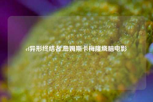 cf异形终结者,詹姆斯卡梅隆烧脑电影