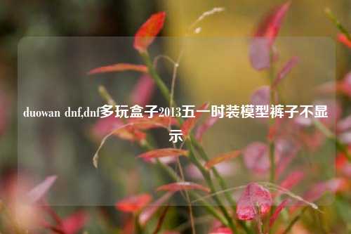 duowan dnf,dnf多玩盒子2013五一时装模型裤子不显示