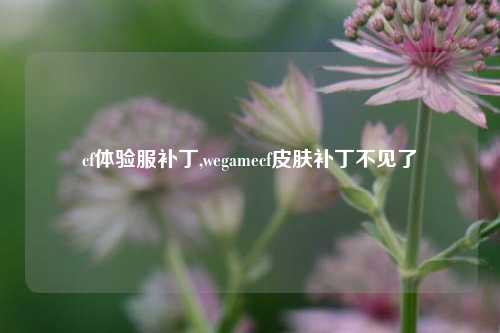 cf体验服补丁,wegamecf皮肤补丁不见了