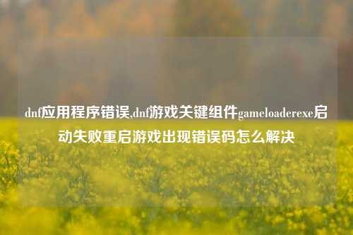 dnf应用程序错误,dnf游戏关键组件gameloaderexe启动失败重启游戏出现错误码怎么解决