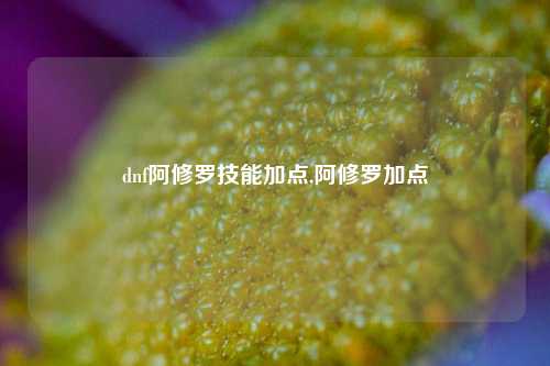 dnf阿修罗技能加点,阿修罗加点