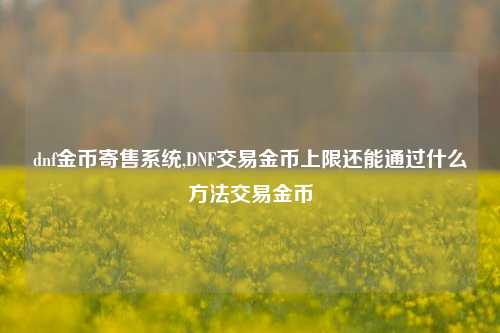 dnf金币寄售系统,DNF交易金币上限还能通过什么方法交易金币