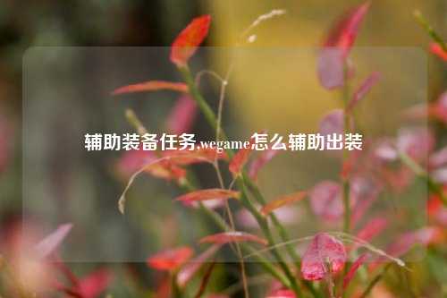 辅助装备任务,wegame怎么辅助出装