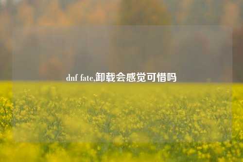 dnf fate,卸载会感觉可惜吗