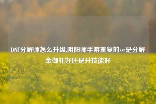 DNF分解师怎么升级,阴阳师手游重复的ssr是分解金御札好还是升技能好