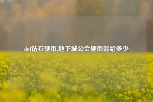 dnf钻石硬币,地下城公会硬币能给多少