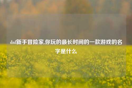 dnf新手冒险家,你玩的最长时间的一款游戏的名字是什么